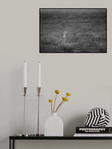 Soaking Poster och Canvastavla
