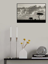 Silhouettes of Mara Poster och Canvastavla