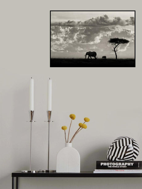 Silhouettes of Mara Poster och Canvastavla