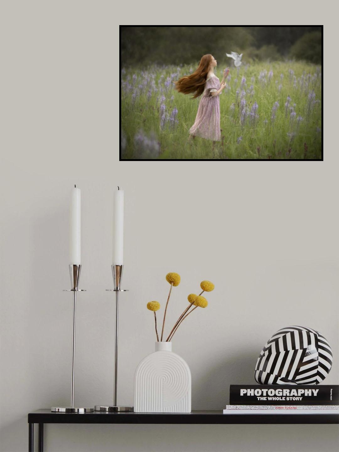 The dove of peace in a green field Poster och Canvastavla