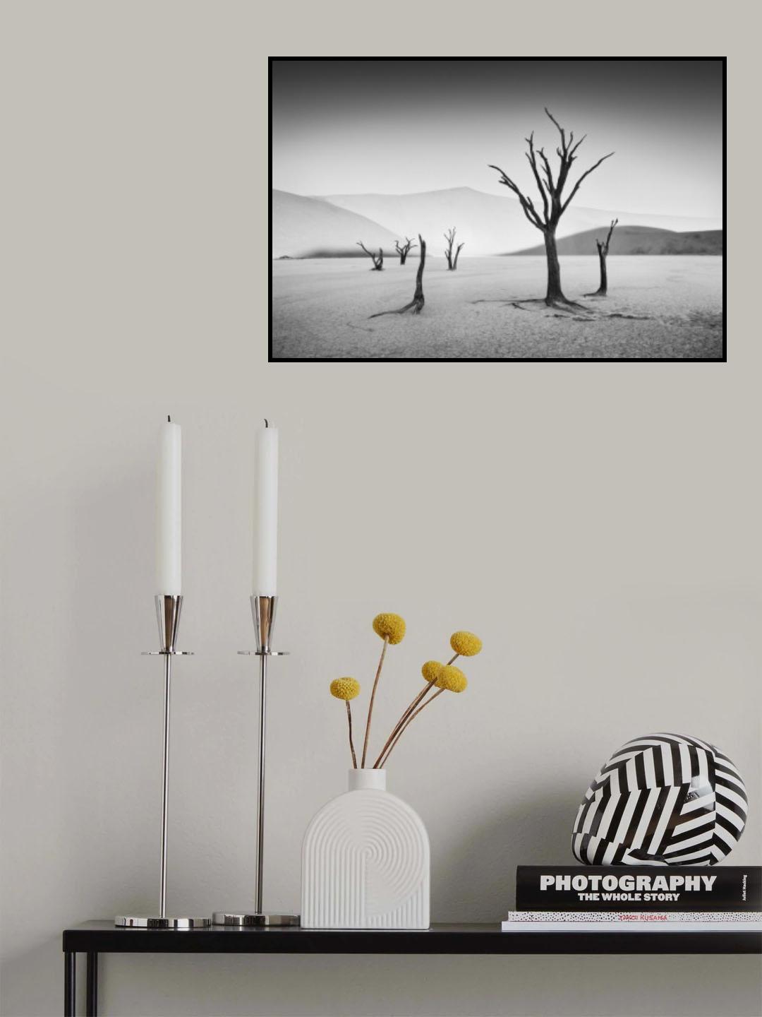 Deadvlei Poster och Canvastavla