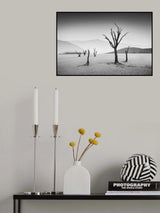 Deadvlei Poster och Canvastavla