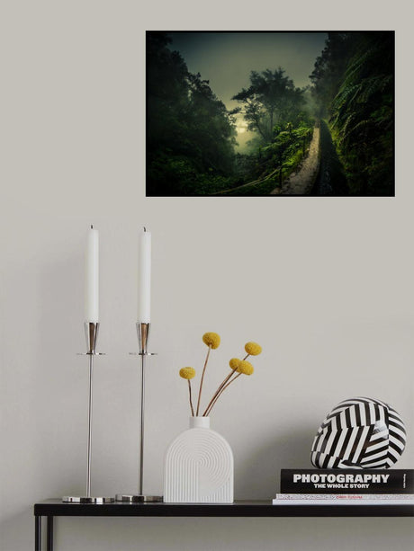 Levada Walk Poster och Canvastavla
