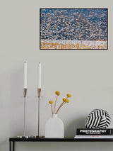 Snow Goose Migration Poster och Canvastavla