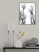 Tulips Poster och Canvastavla