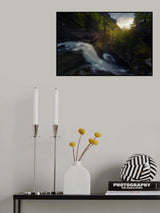 Poster och Canvastavla
