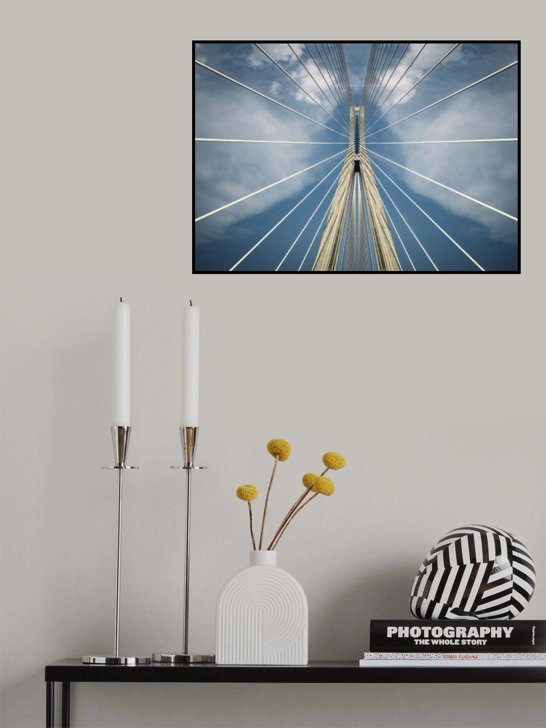 Spider Poster och Canvastavla