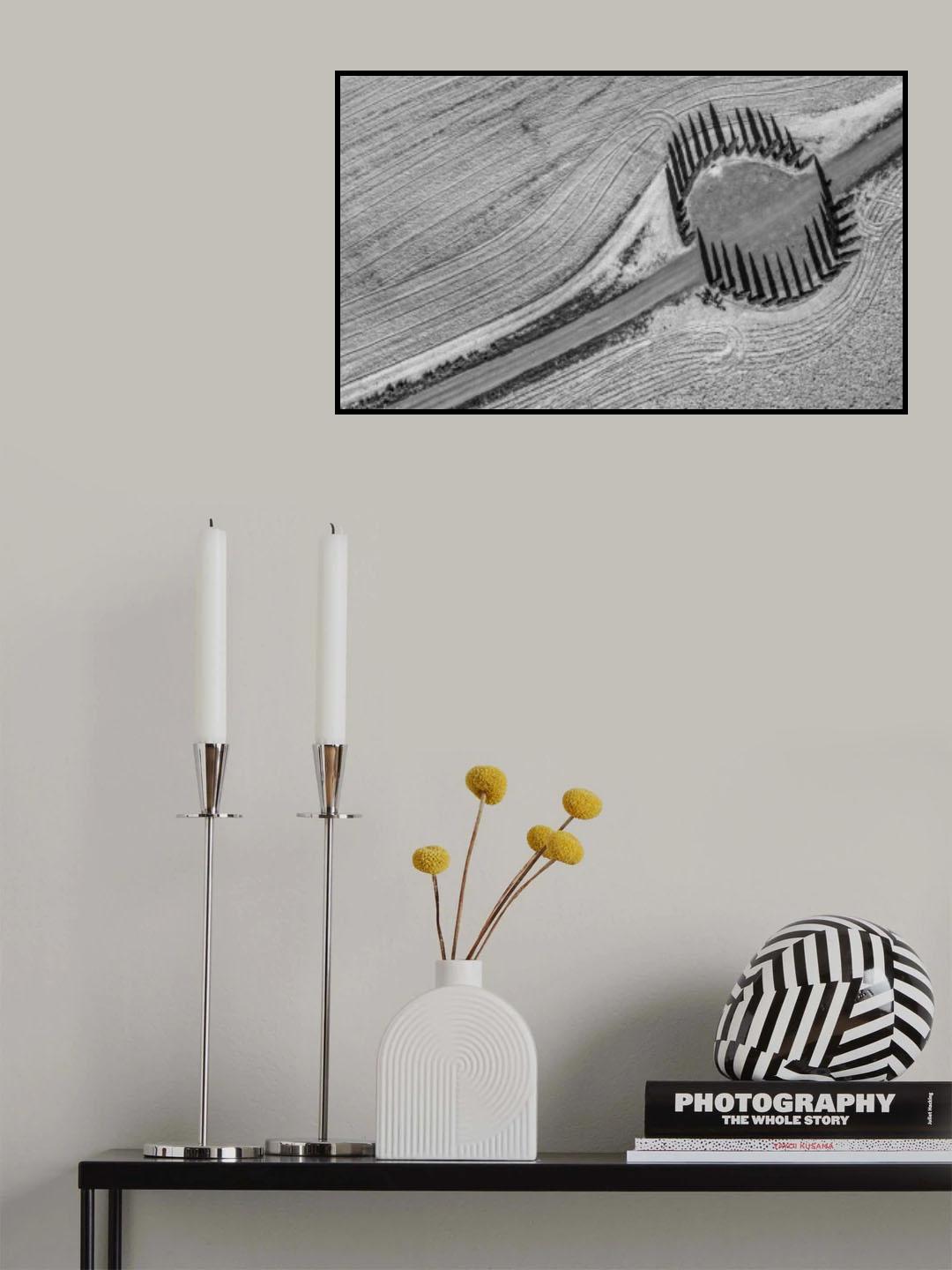 Cypresses in a circle Poster och Canvastavla