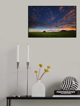 ... spring Poster och Canvastavla