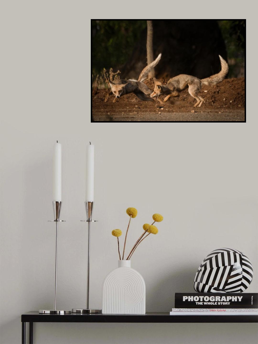 Morning games Poster och Canvastavla