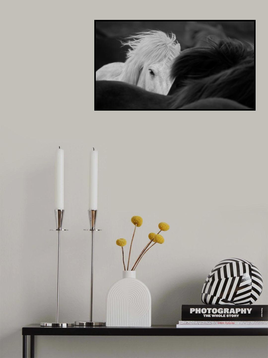 Hiding Poster och Canvastavla