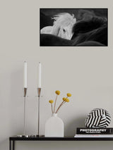 Hiding Poster och Canvastavla