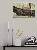 Young, wild and free Poster och Canvastavla