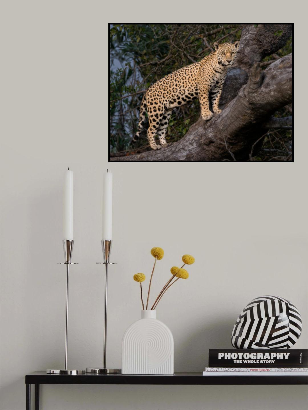 Poster och Canvastavla