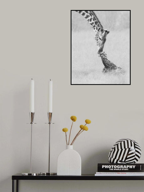 Kiss Poster och Canvastavla
