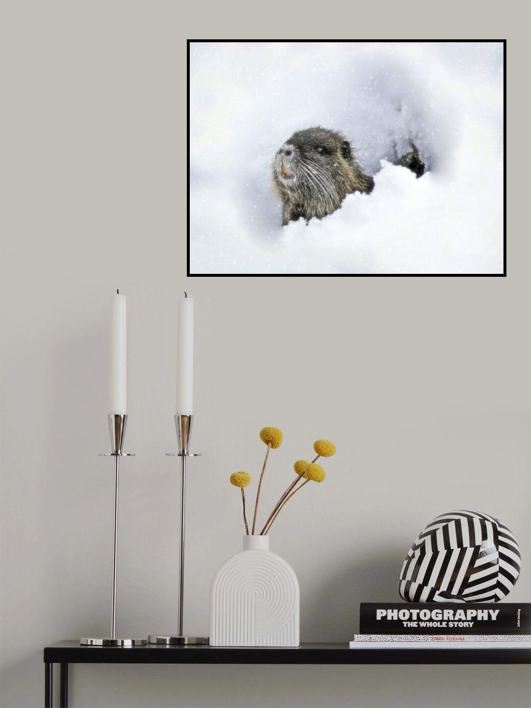 cold outside ? Poster och Canvastavla