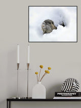 cold outside ? Poster och Canvastavla