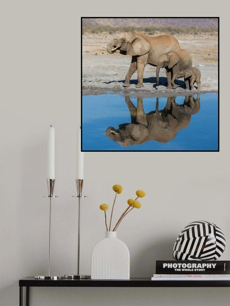 FAMILY DRINK Poster och Canvastavla