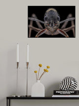 My Face Poster och Canvastavla