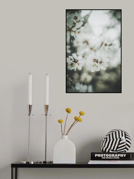 Almond Blossoms Poster och Canvastavla