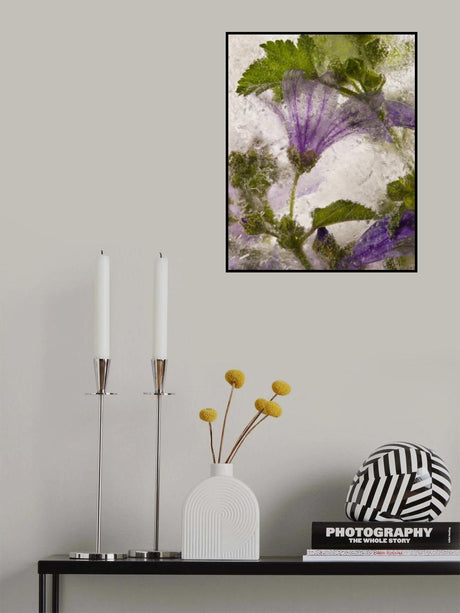 Frozen mallow flower Poster och Canvastavla