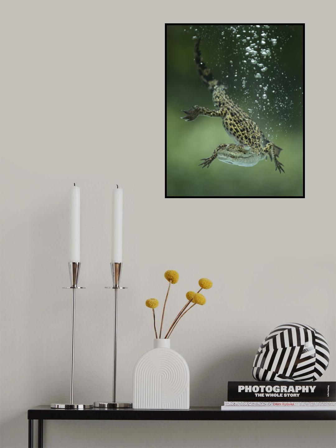 Dive Poster och Canvastavla
