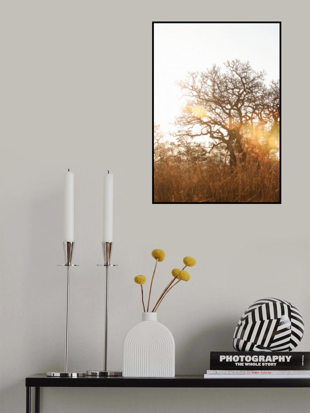 Highveld 02 Poster och Canvastavla