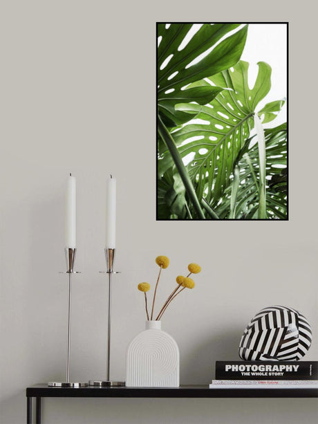 Jungle Poster och Canvastavla