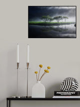 Poster och Canvastavla