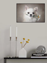 Chihuahua with flowers Poster och Canvastavla