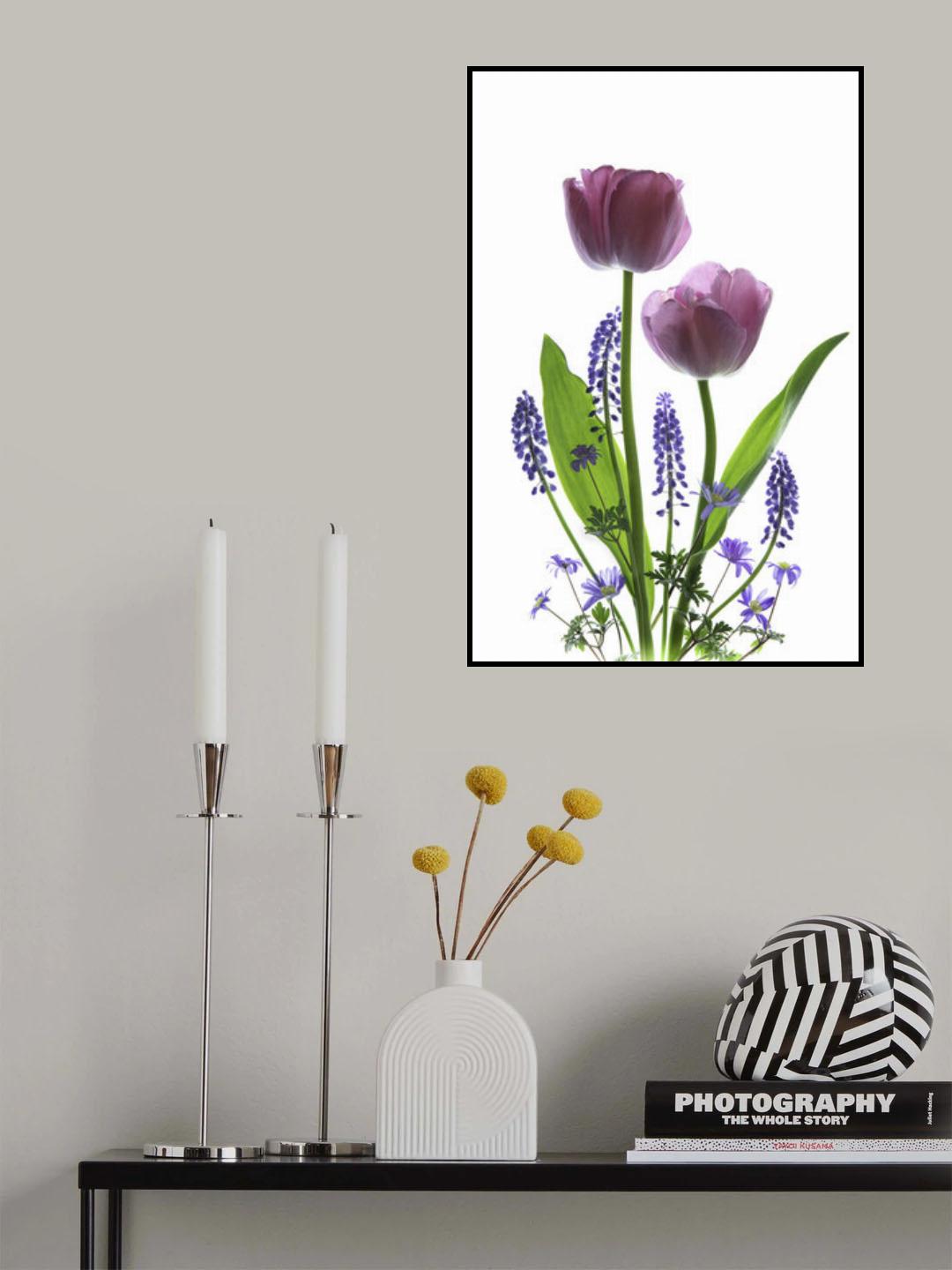 Early Spring Poster och Canvastavla
