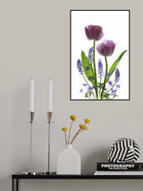 Early Spring Poster och Canvastavla