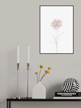 Peony 02 Poster och Canvastavla