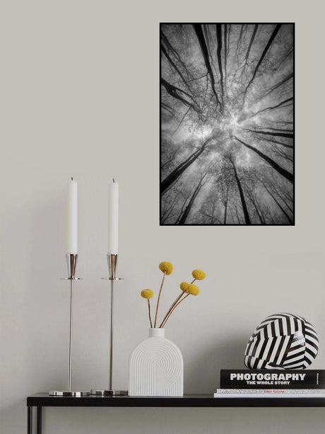 Treetops Poster och Canvastavla