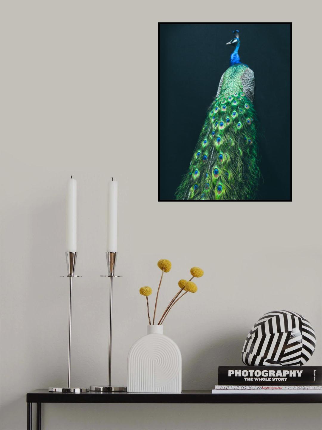 Peacock I Poster och Canvastavla