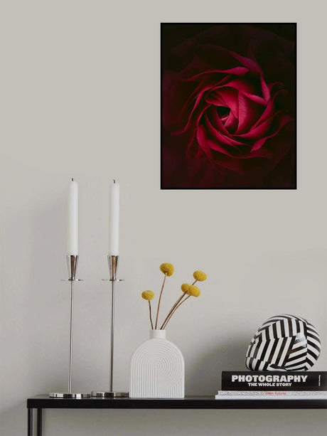 Rosa Poster och Canvastavla