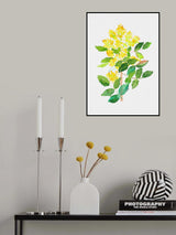 Oregon grape or Mahonia aquifolium botanical painting Poster och Canvastavla