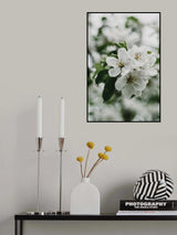 Spring Series - Apple Blossoms in the Rain 1/12 Poster och Canvastavla