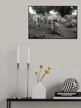 Children’s tasks in a Mundari camp Poster och Canvastavla
