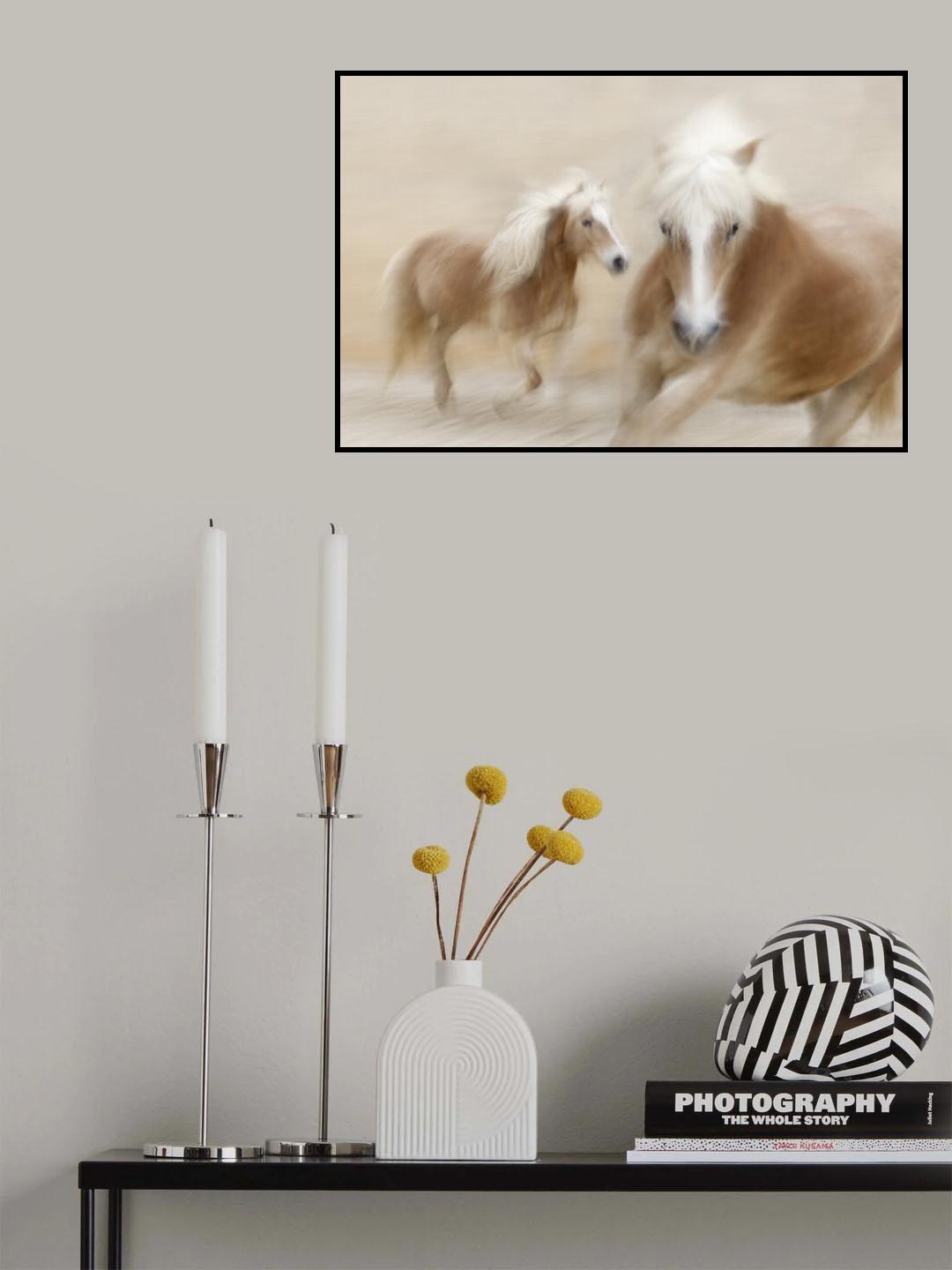 direct contact Poster och Canvastavla
