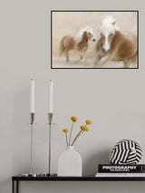 direct contact Poster och Canvastavla
