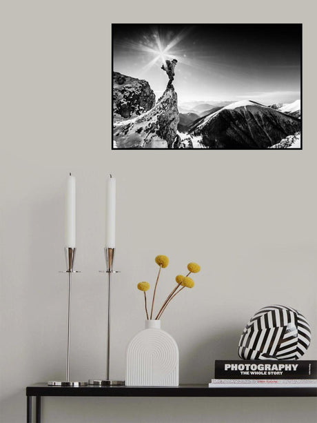 Life at the top Poster och Canvastavla