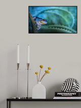 Ready to jump Poster och Canvastavla