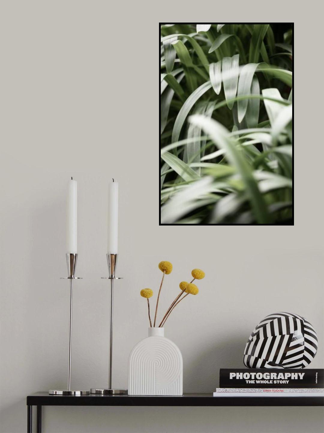 Green Leaves Poster och Canvastavla