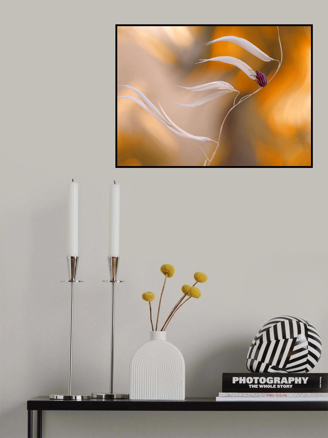 West wind... Poster och Canvastavla
