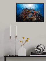 Life explosion Poster och Canvastavla