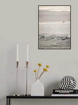 Dolphin Poster och Canvastavla