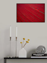 Drying clothes in the fields Poster och Canvastavla