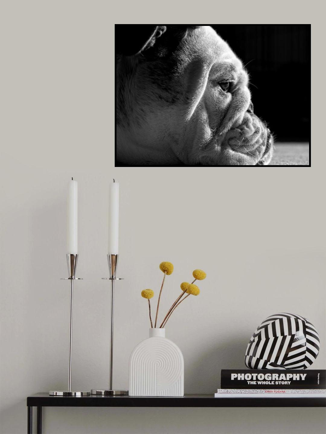Between the Folds Poster och Canvastavla