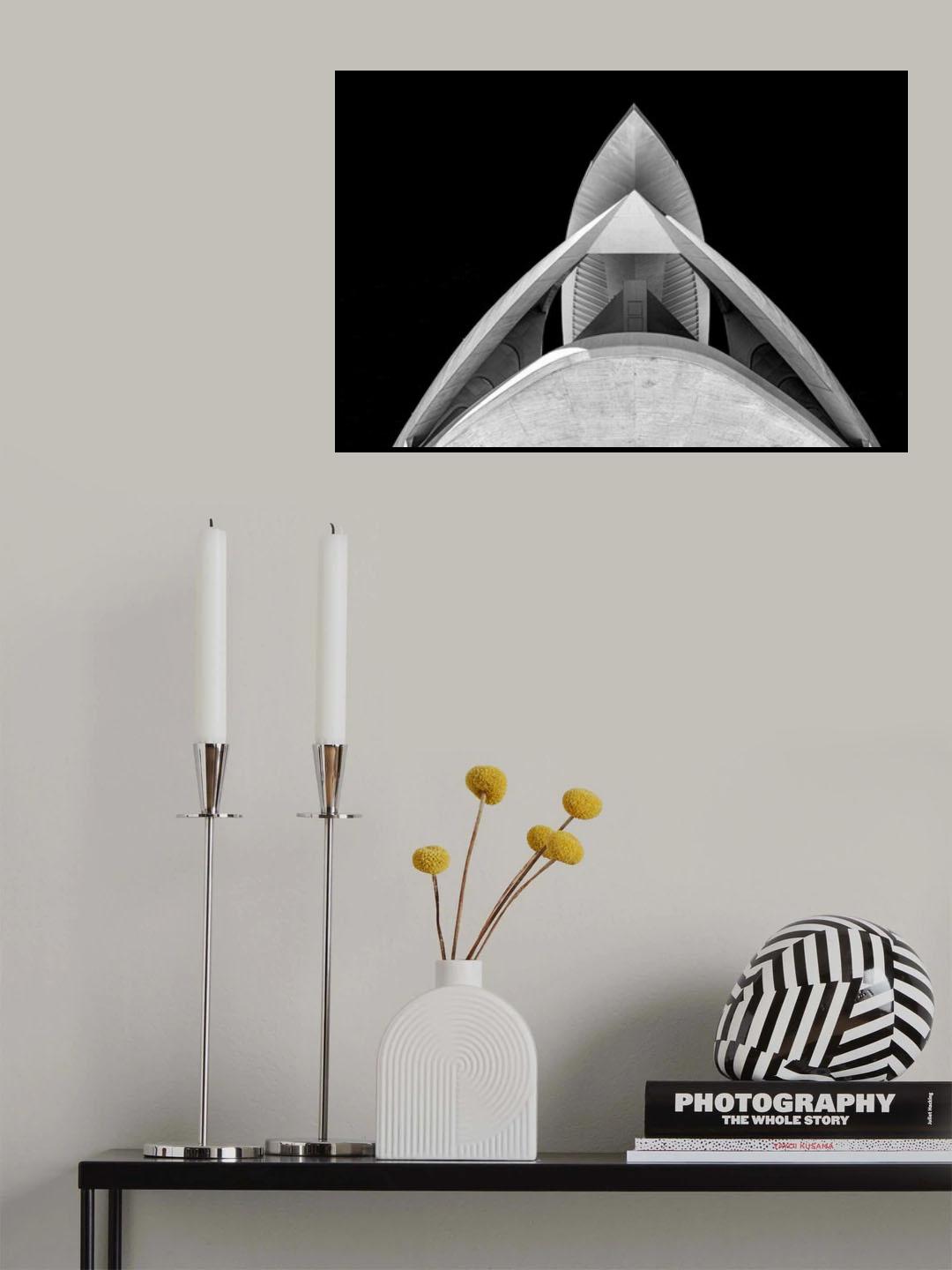 Top roof (improved version) Poster och Canvastavla